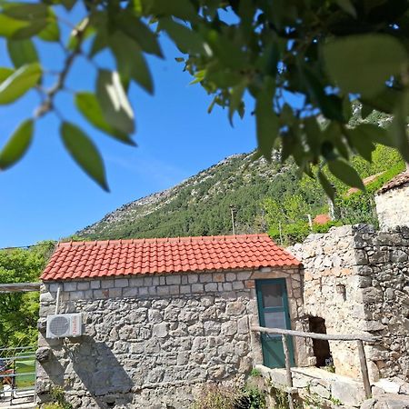 Cottage Melita The Apartment For Animal Lovers Babino Polje Exterior photo