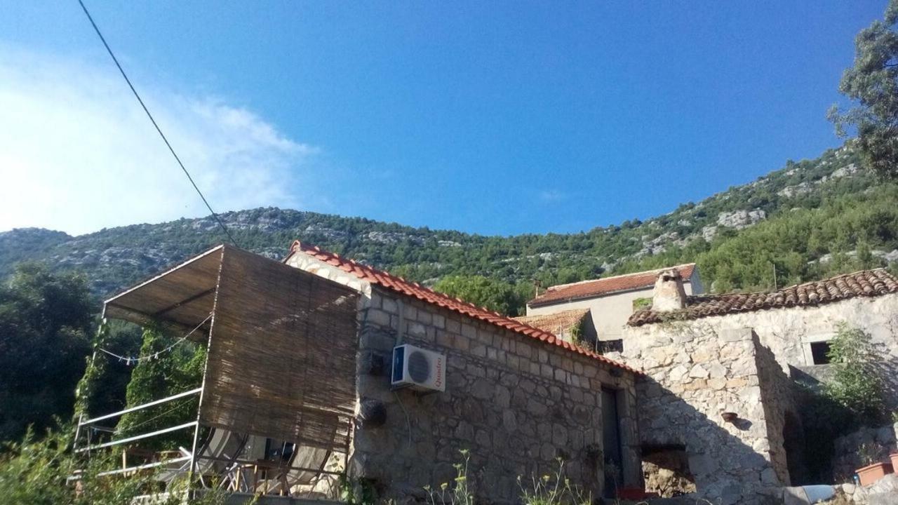 Cottage Melita The Apartment For Animal Lovers Babino Polje Exterior photo