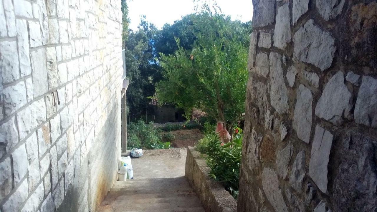 Cottage Melita The Apartment For Animal Lovers Babino Polje Exterior photo