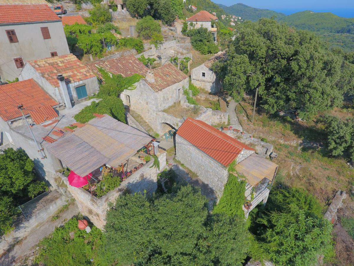 Cottage Melita The Apartment For Animal Lovers Babino Polje Exterior photo