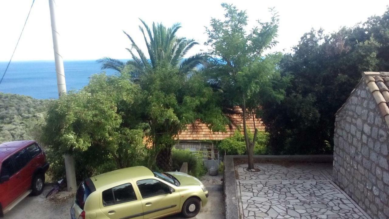 Cottage Melita The Apartment For Animal Lovers Babino Polje Exterior photo