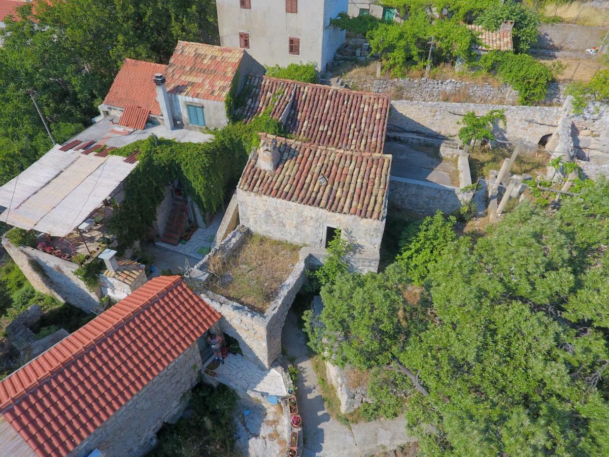 Cottage Melita The Apartment For Animal Lovers Babino Polje Exterior photo