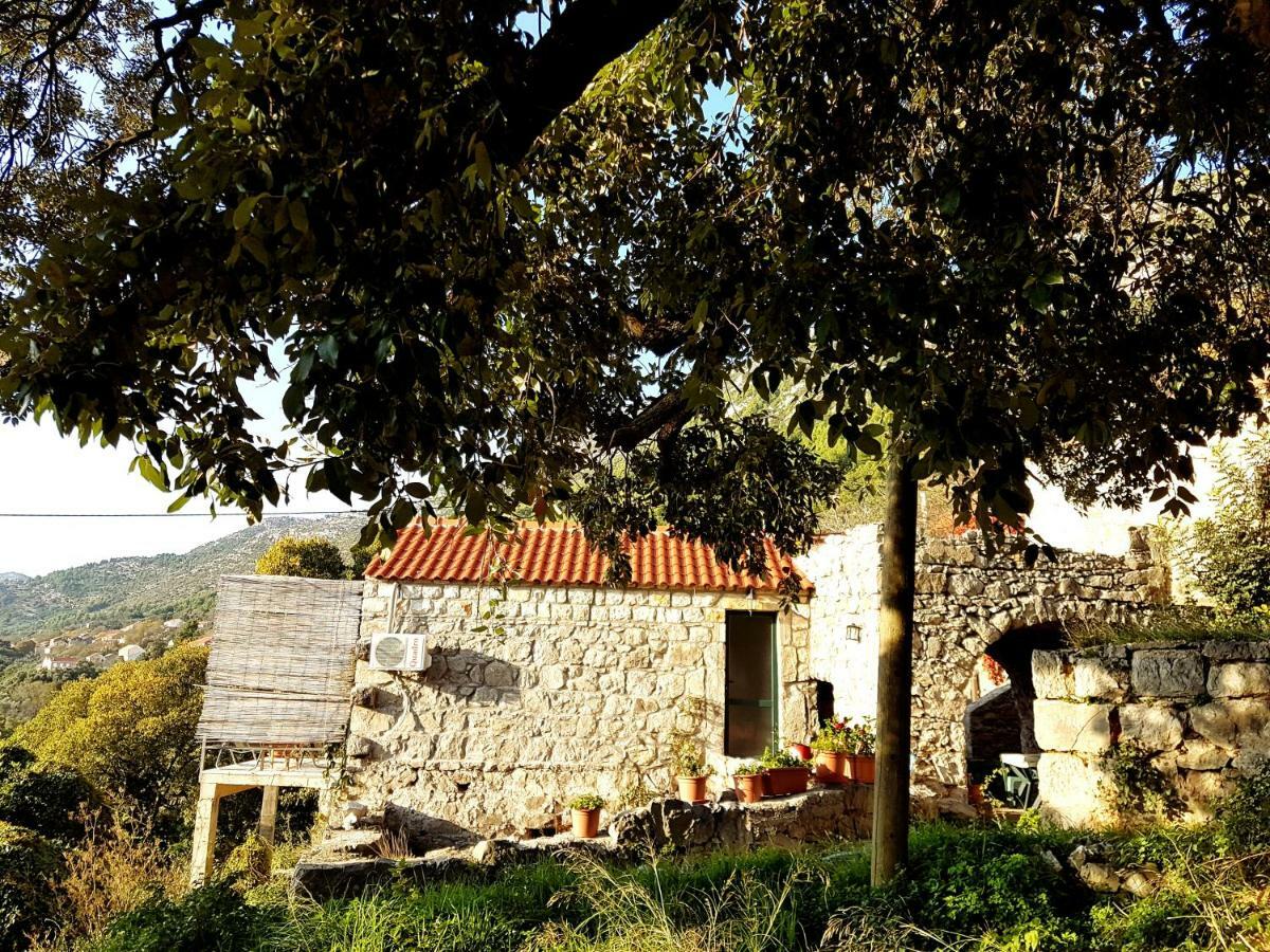 Cottage Melita The Apartment For Animal Lovers Babino Polje Exterior photo